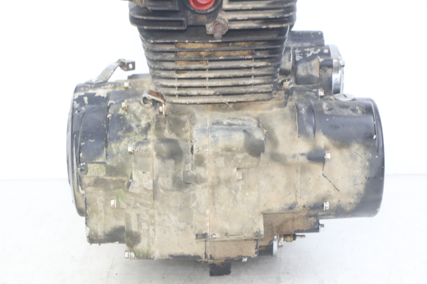 photo de MOTORE SHINERAY XY250 STXE 250 (2006 - 2012) - Zoom sui componenti