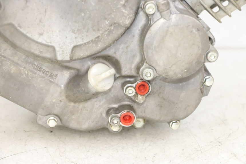 photo de MOTORE YAMAHA YFM R RAPTOR 250 (2008 - 2014) - Altra vista dell'articolo