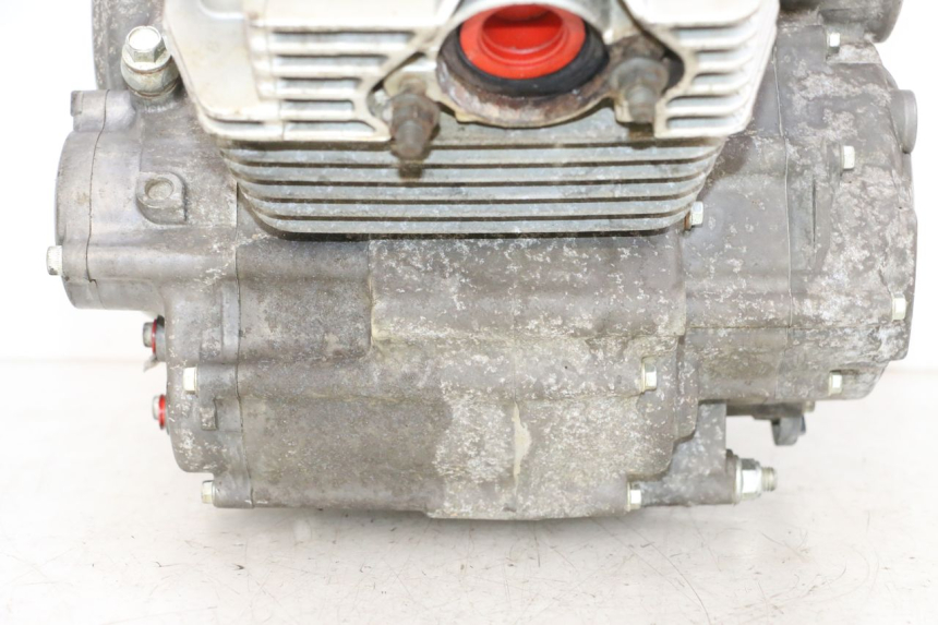 photo de MOTORE YAMAHA YFM R RAPTOR 250 (2008 - 2014) - Foto prodotto supplementare