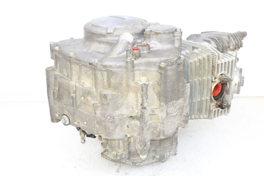 photo de MOTORE YAMAHA YFM R RAPTOR 250 (2008 - 2014) - Altra angolazione