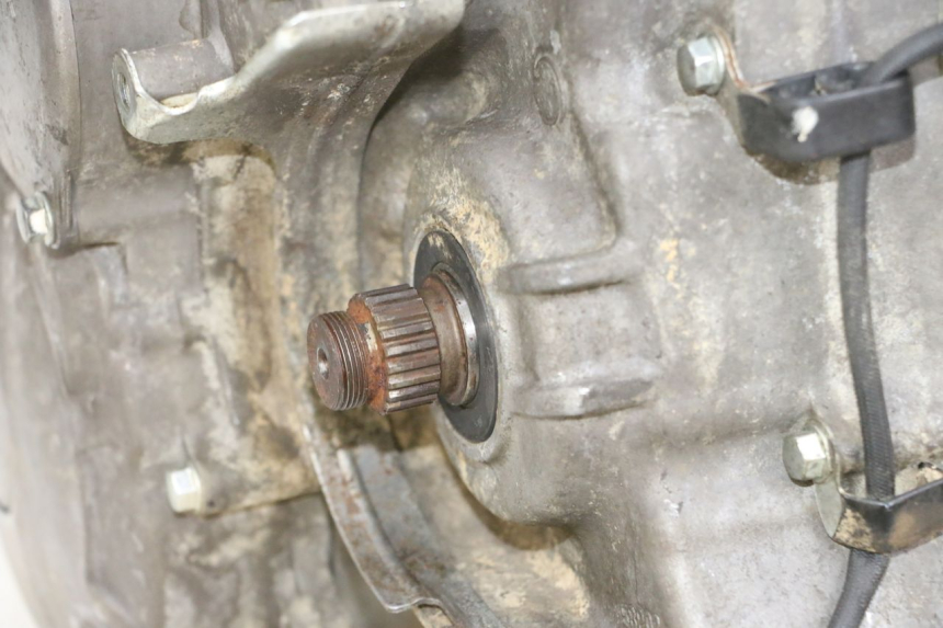 photo de MOTORE YAMAHA YFM R RAPTOR 250 (2008 - 2014) - Primo piano tecnico