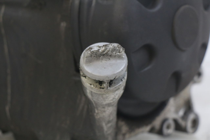 photo de MOTORE YAMAHA YP MAJESTY 125 (2007 - 2010) - Vista d'insieme del prodotto