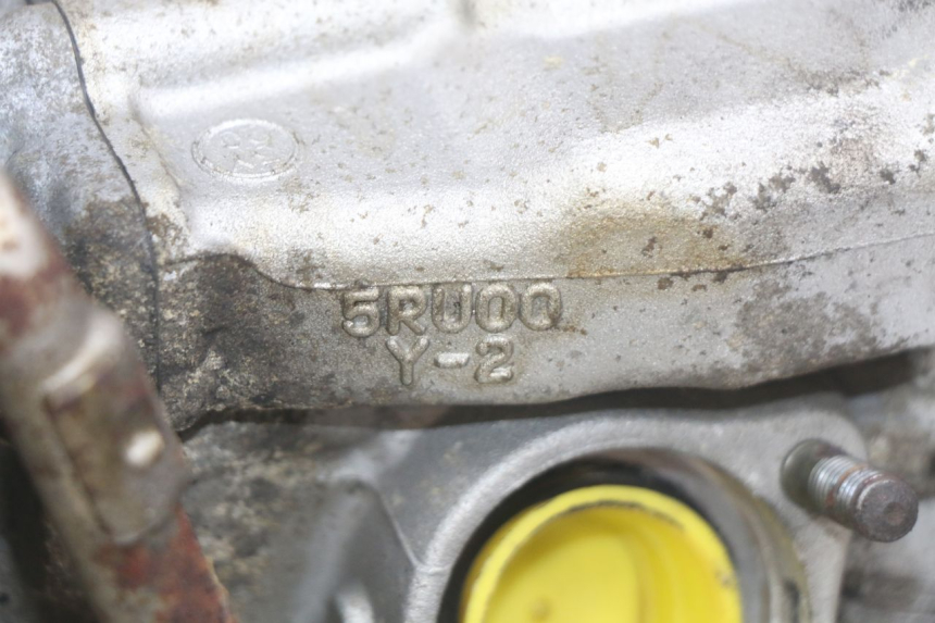 photo de MOTEUR YAMAHA YP MAJESTY 400 (2004 - 2008) - Dettaglio del componente