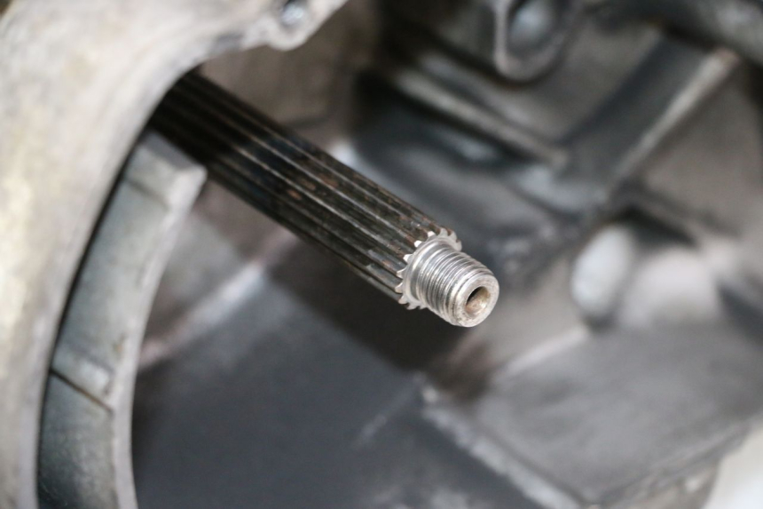 photo de MOTORE YAMAHA YP MAJESTY 125 (2002 - 2006) - Ispezione visiva dettagliata