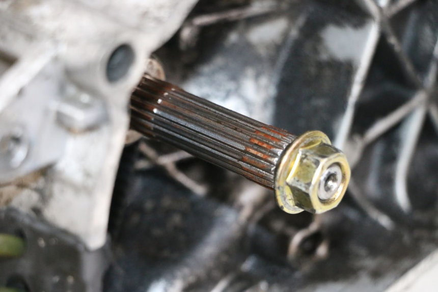 photo de MOTORE PIAGGIO ZIP 2T 50 (2009 - 2019) - Ispezione visiva dettagliata