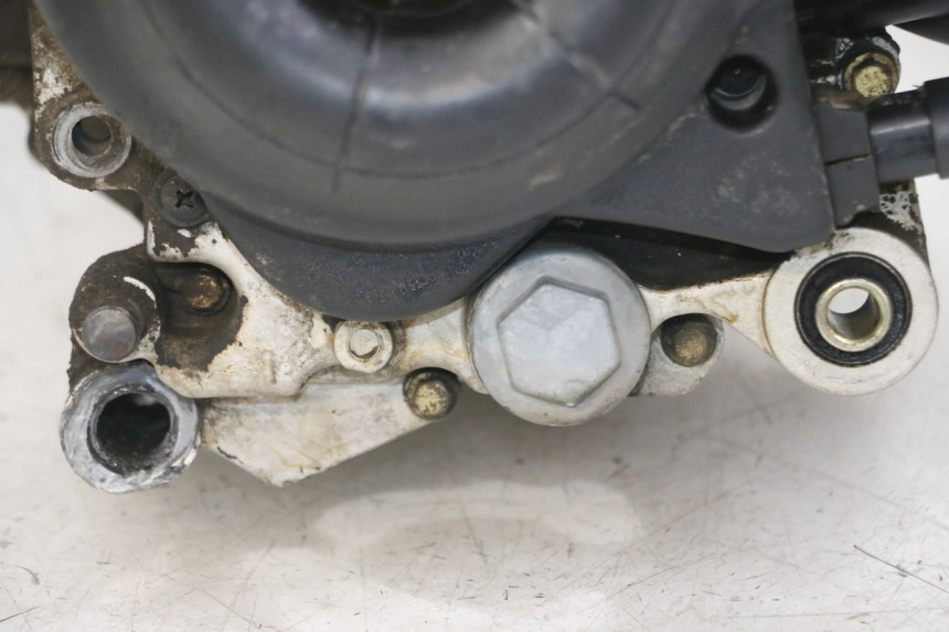 photo de MOTORE PIAGGIO ZIP 4T 50 (2018 - 2020) - Altra vista dell'articolo