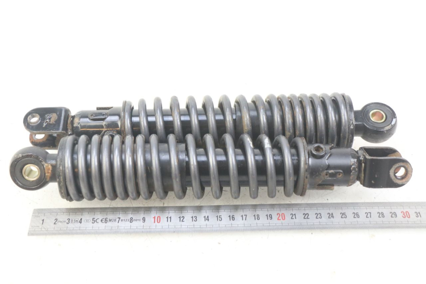 photo de COPPIA AMMORTIZZATORI POSTERIORI ECCITY ARTELEC 670 1 (2013 - 2017) - Zoom sullo stato d'uso