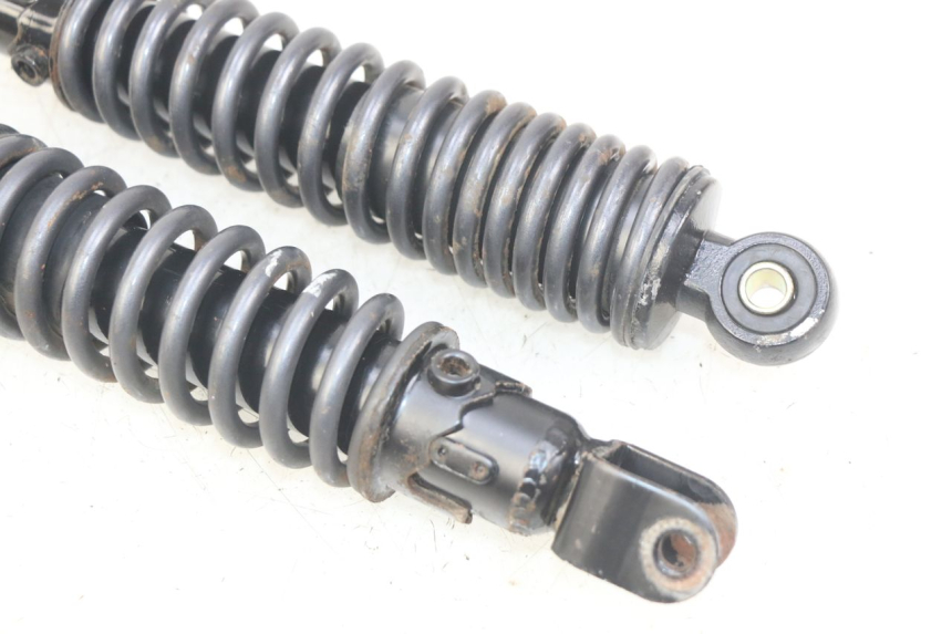 photo de COPPIA AMMORTIZZATORI POSTERIORI ECCITY ARTELEC 670 1 (2013 - 2017) - Primo piano tecnico