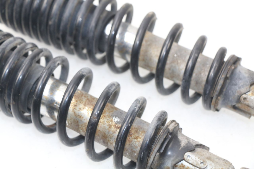 photo de Coppia ammortizzatori posteriori ERIDER CARGO 1 (2009 - 2018) - Vista d'insieme del prodotto