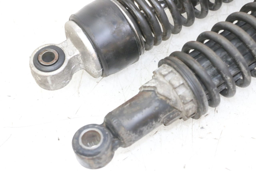 photo de COPPIA AMMORTIZZATORI POSTERIORI GILERA NEXUS 125 (2009 - 2013) - Vista d'insieme del prodotto