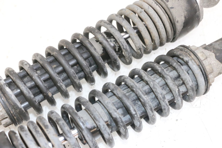 photo de COPPIA AMMORTIZZATORI POSTERIORI GILERA NEXUS 125 (2009 - 2013) - Stato della superficie e materiale