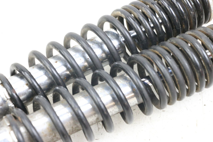 photo de COPPIA AMMORTIZZATORI POSTERIORI DAELIM S3 125 (2010 - 2017) - Stato della superficie e materiale