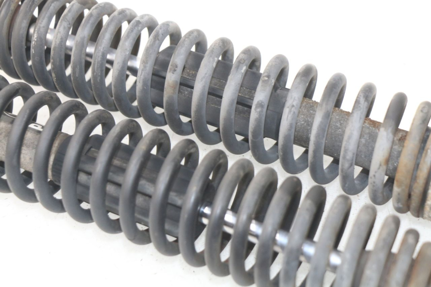 photo de COPPIA AMMORTIZZATORI POSTERIORI MBK SKYLINER 125 (2004 - 2007) - Stato della superficie e materiale