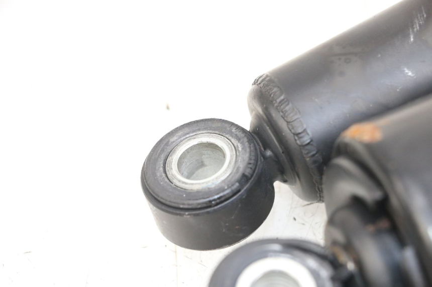 photo de COPPIA HARLEY DAVIDSON SPORTSTER XL CUSTOM 1200 (2003 - 2004) - Altra vista dell'articolo