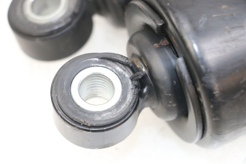 photo de COPPIA HARLEY DAVIDSON SPORTSTER XL CUSTOM 1200 (2003 - 2004) - Caratteristiche distintive