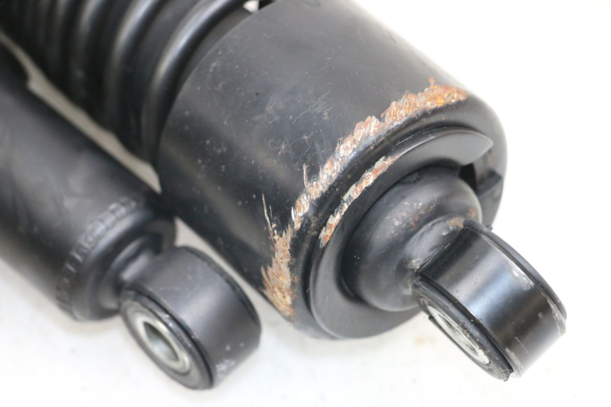 photo de COPPIA HARLEY DAVIDSON SPORTSTER XL CUSTOM 1200 (2003 - 2004) - Altra angolazione