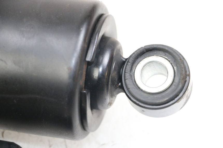 photo de COPPIA HARLEY DAVIDSON SPORTSTER XL CUSTOM 1200 (2003 - 2004) - Vista d'insieme del prodotto