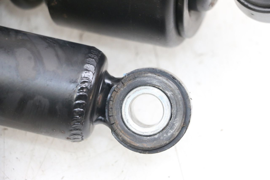 photo de COPPIA HARLEY DAVIDSON SPORTSTER XL CUSTOM 1200 (2003 - 2004) - Dettagli dei punti di fissaggio