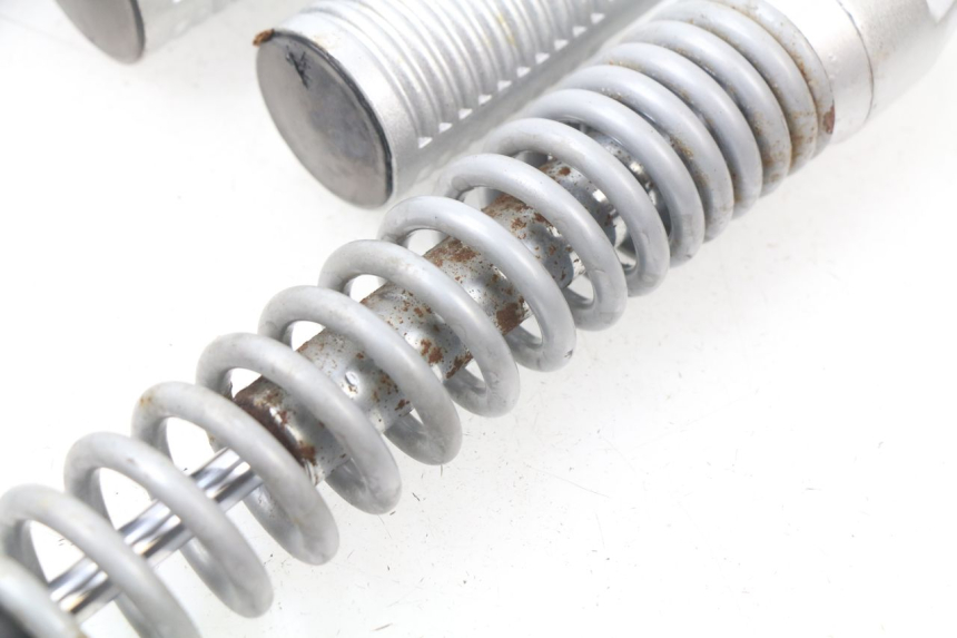 photo de COPPIA AMMORTIZZATORI POSTERIORI RAZZO STEED 125 (2012 - 2018) - Zoom sullo stato d'uso