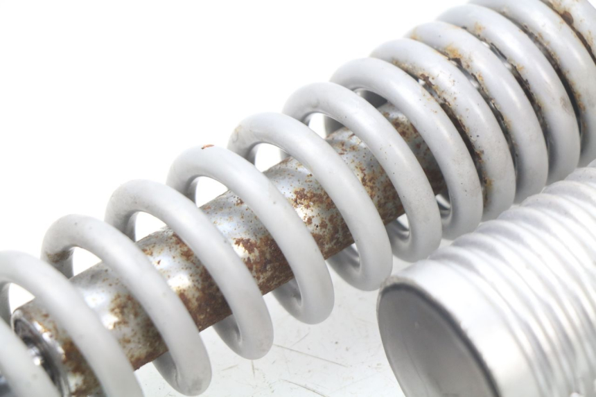 photo de COPPIA AMMORTIZZATORI POSTERIORI RAZZO STEED 125 (2012 - 2018) - Altra angolazione