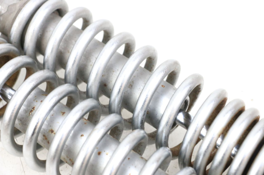 photo de COPPIA SUZUKI VL INTRUDER 125 (2004 - 2007) - Stato della superficie e materiale