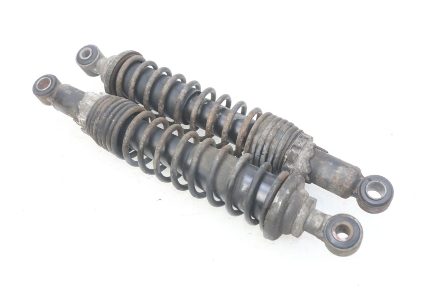 photo de COPPIA AMMORTIZZATORI POSTERIORI PIAGGIO X9 EVOLUTION 125 (2003 - 2007) - Vista principale