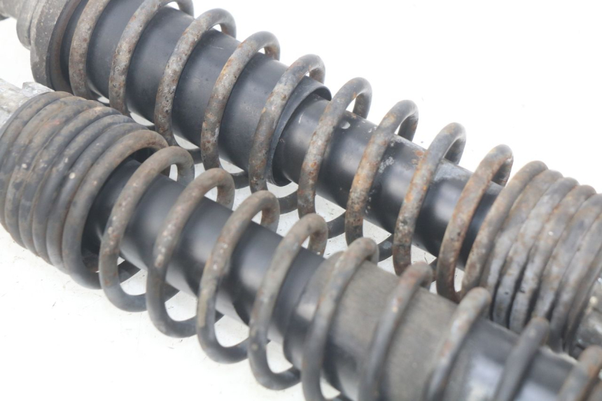 photo de COPPIA AMMORTIZZATORI POSTERIORI PIAGGIO X9 EVOLUTION 125 (2003 - 2007) - Vista d'insieme del prodotto