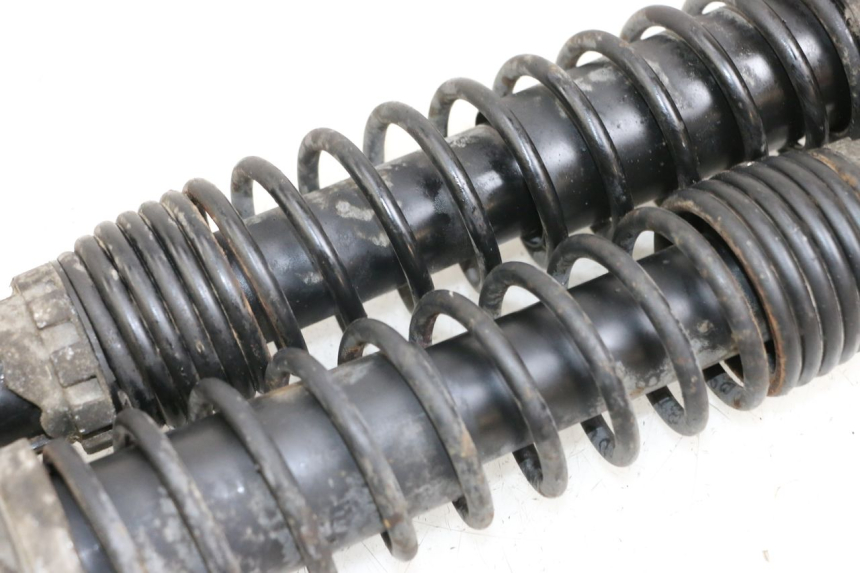 photo de COPPIA AMMORTIZZATORI POSTERIORI PIAGGIO X9 125 (2000 - 2003) - Dettaglio del componente