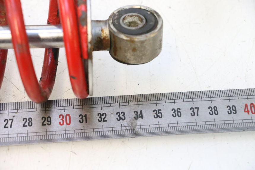 photo de COPPIA YAMAHA XJR 1300 (1998 - 2002) - Caratteristiche distintive