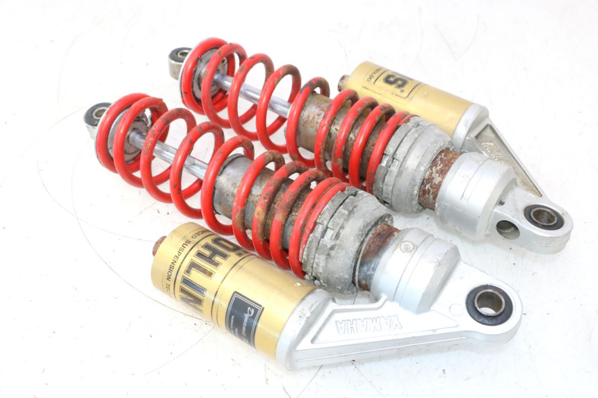 photo de COPPIA YAMAHA XJR 1300 (1998 - 2002) - Stato della superficie e materiale