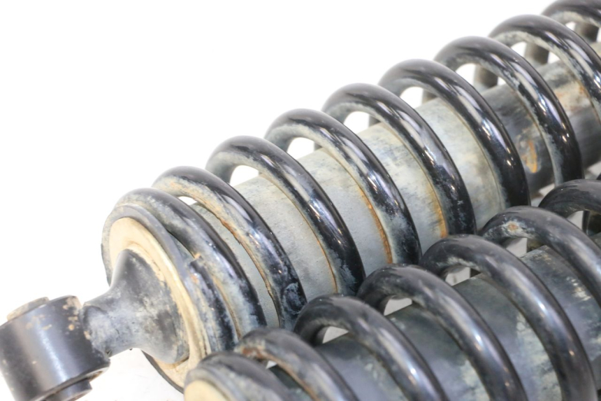 photo de COPPIA YAMAHA YFM GRIZZLY 550 (2008 - 2015) - Primo piano tecnico