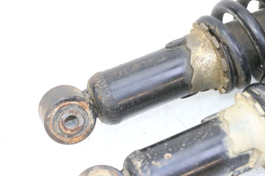 photo de COPPIA YAMAHA YFM GRIZZLY 550 (2008 - 2015) - Stato della superficie e materiale