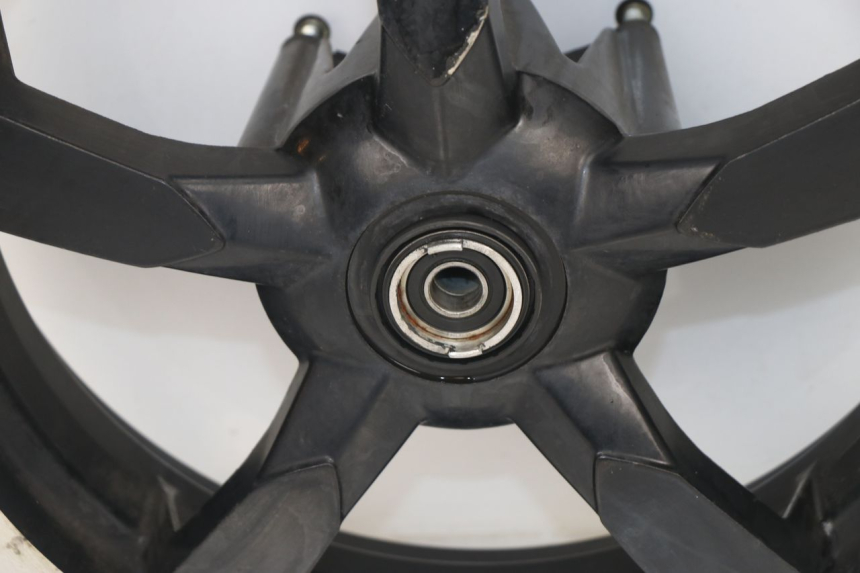 photo de CERCHIO DI COPPIA PEUGEOT SATELIS 125 (2006 - 2009) - Focus sulla struttura