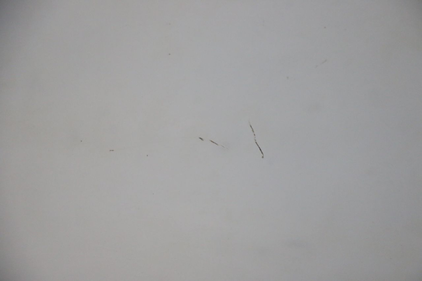 photo de PARABREZZA HONDA FES S-WING SWING ABS 125 (2007 - 2015) - Primo piano ad alta risoluzione