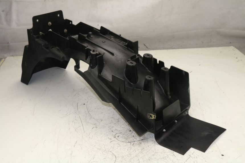 photo de Passaruota posteriore TRIUMPH TIGER 955 (2001 - 2004) - Vista principale