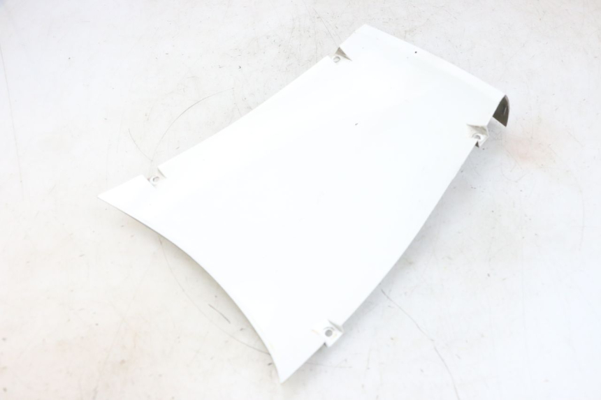 photo de SOTTOSCUDO PARASPRUZZI PEUGEOT TWEET PRO EFI 4T 50 (2021 - 2022) - Vista principale