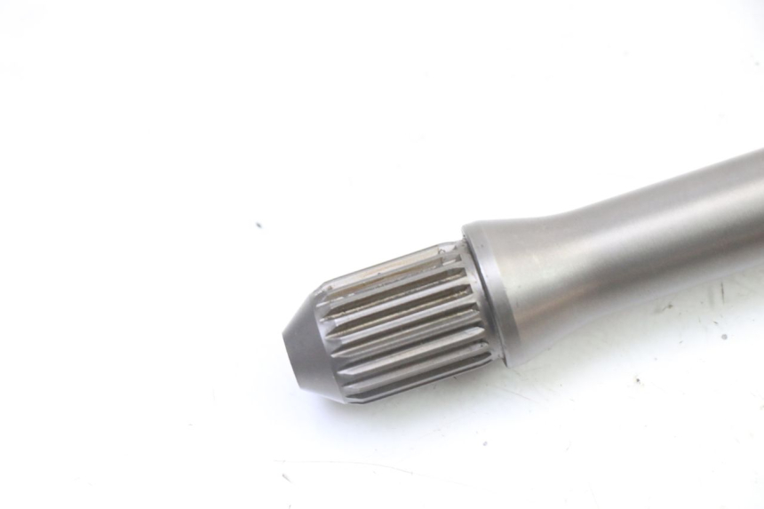 photo de PIGNONE HONDA NTV DEAUVILLE 650 (2001 - 2006) - Primo piano tecnico