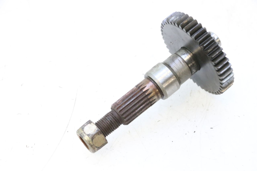 photo de INGRANAGGIO TRASMISSIONE PEUGEOT LUDIX ONE 14P 50 (2004 - 2013) - Dettaglio del componente