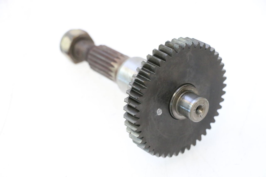 photo de INGRANAGGIO TRASMISSIONE PEUGEOT LUDIX ONE 14P 50 (2004 - 2013) - Primo piano tecnico