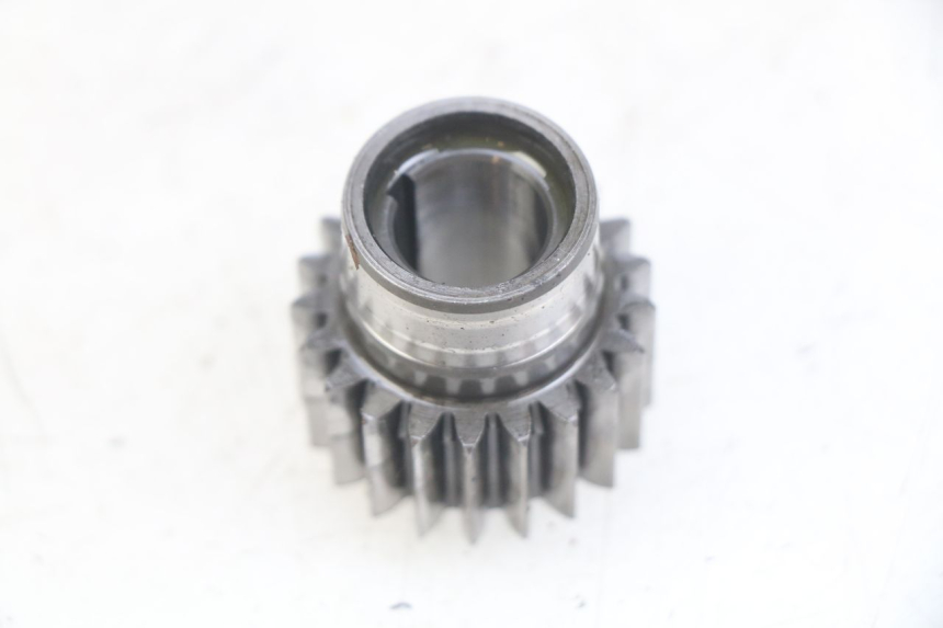 photo de PIGNONE TRASMISSIONE GAS-GAS SM ROOKIE 50 (2001 - 2005) - Dettaglio del componente