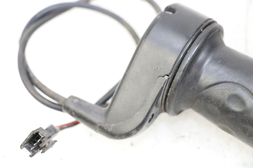 photo de ACCELERATORE DOLPHIN PYGMY 1 (2020 - 2024) - Primo piano tecnico