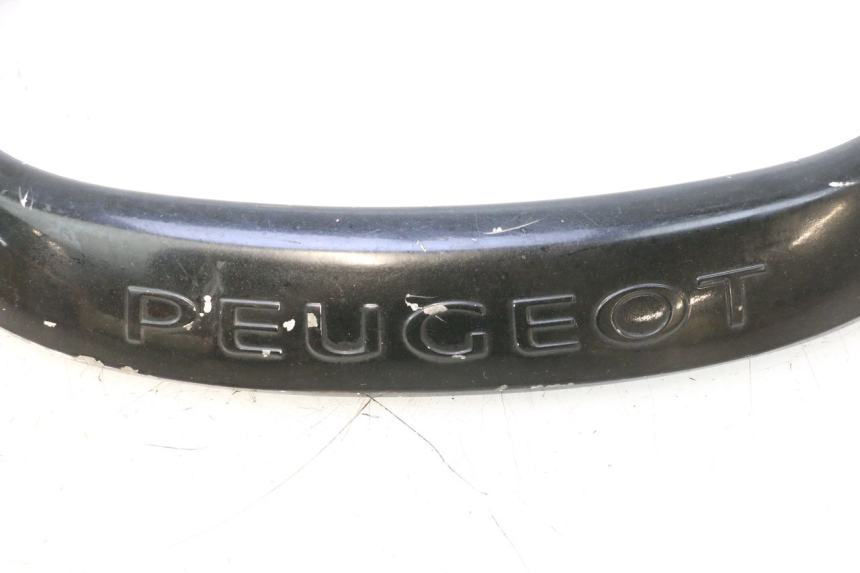 photo de MANIGLIA POSTERIORE PEUGEOT CITYSTAR 2T 50 (2018 - 2021) - Dettaglio del componente
