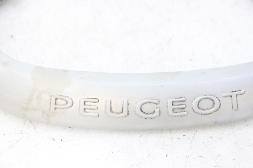 photo de MANIGLIA POSTERIORE PEUGEOT CITYSTAR 50 (2013 - 2017) - Ricambio usato controllato