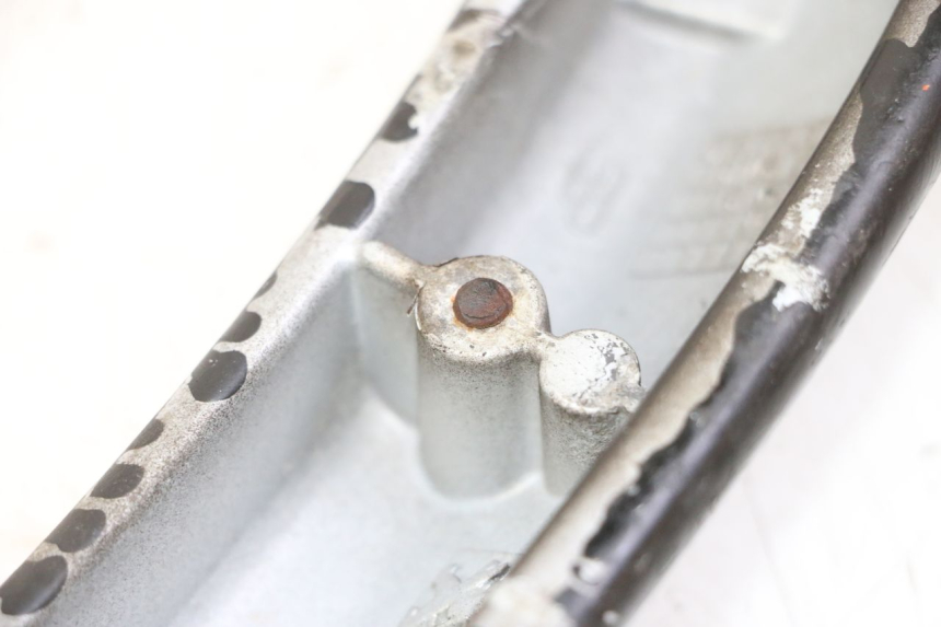 photo de MANIGLIA POSTERIORE PEUGEOT CITYSTAR 50 (2013 - 2017) - Zoom sullo stato d'uso