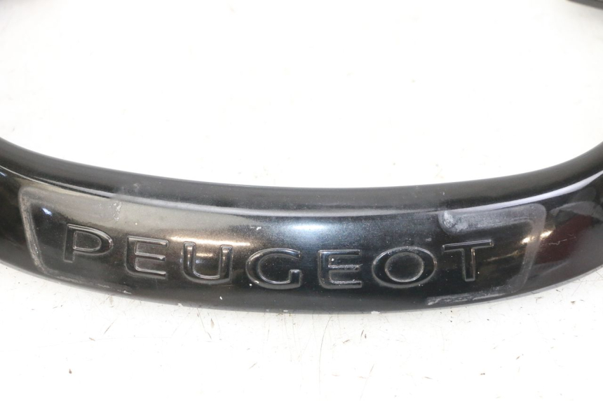 photo de MANIGLIA POSTERIORE PEUGEOT CITYSTAR 2T 50 (2018 - 2021) - Ricambio usato controllato