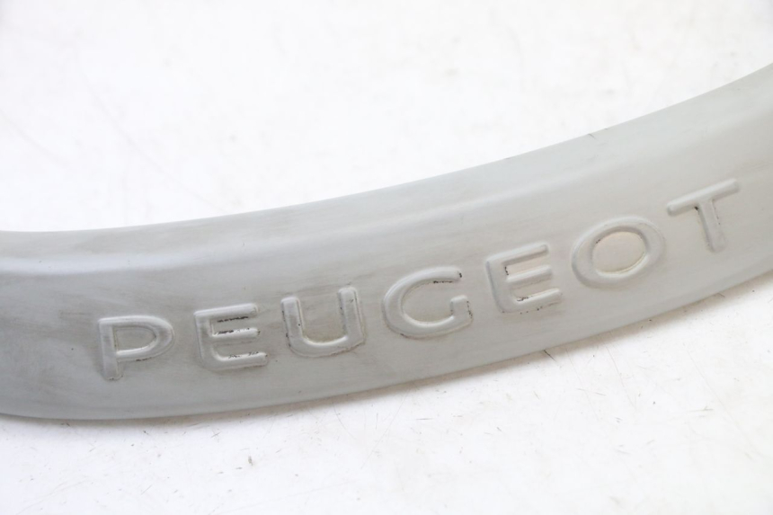 photo de MANIGLIA POSTERIORE PEUGEOT CITYSTAR 50 (2013 - 2017) - Dettaglio del componente