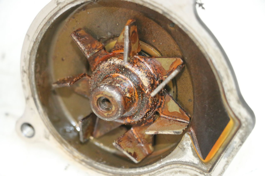 photo de POMPA ACQUA KAWASAKI GPX R WARBIRD 600 (1988 - 1993) - Marcature e riferimenti originali