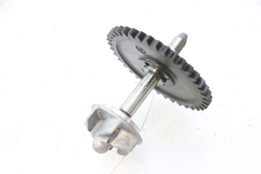 photo de POMPA ACQUA HONDA XLV VARADERO 125 (2007 - 2012) - Zoom sullo stato d'uso