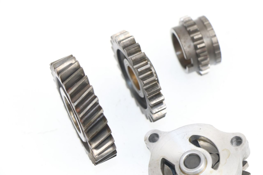 photo de POMPA OLIO SUZUKI DR DJEBEL 600 (1985 - 1990) - Zoom sullo stato d'uso