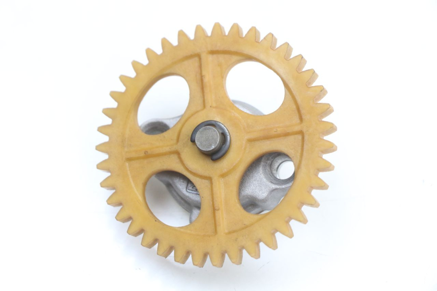 photo de POMPA OLIO LONGJIA EASY MAX 125 (2020 - 2024) - Dettaglio del componente